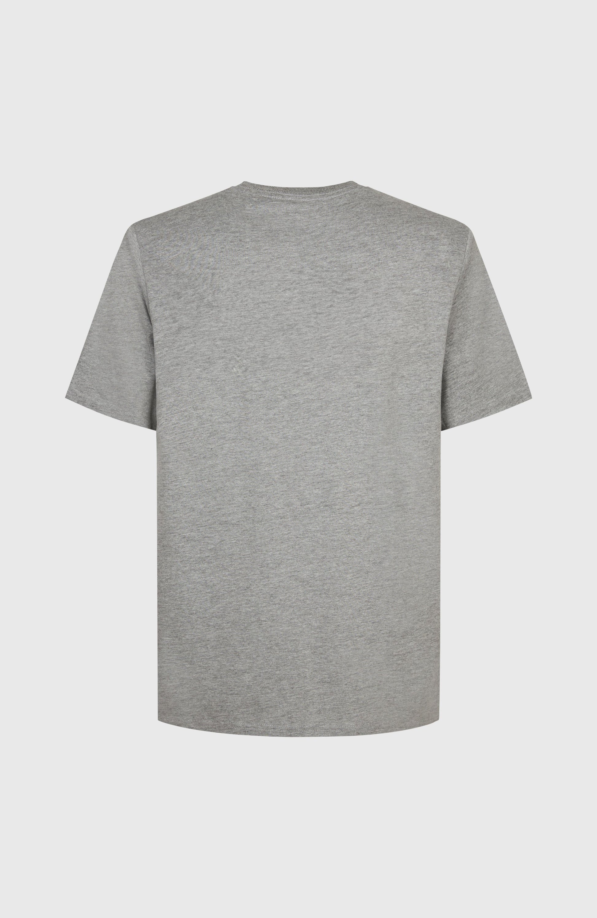 Future Surf Society T-Shirt Men - Silver Melee