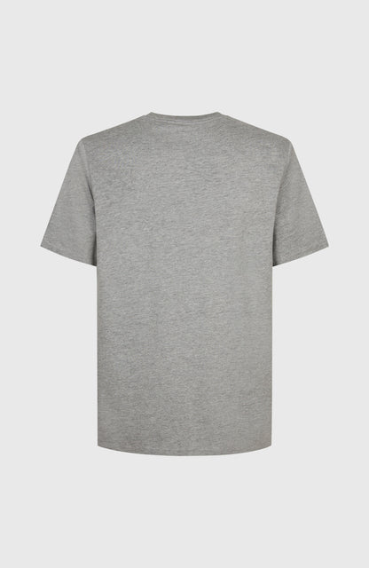 Future Surf Society T-Shirt Men - Silver Melee