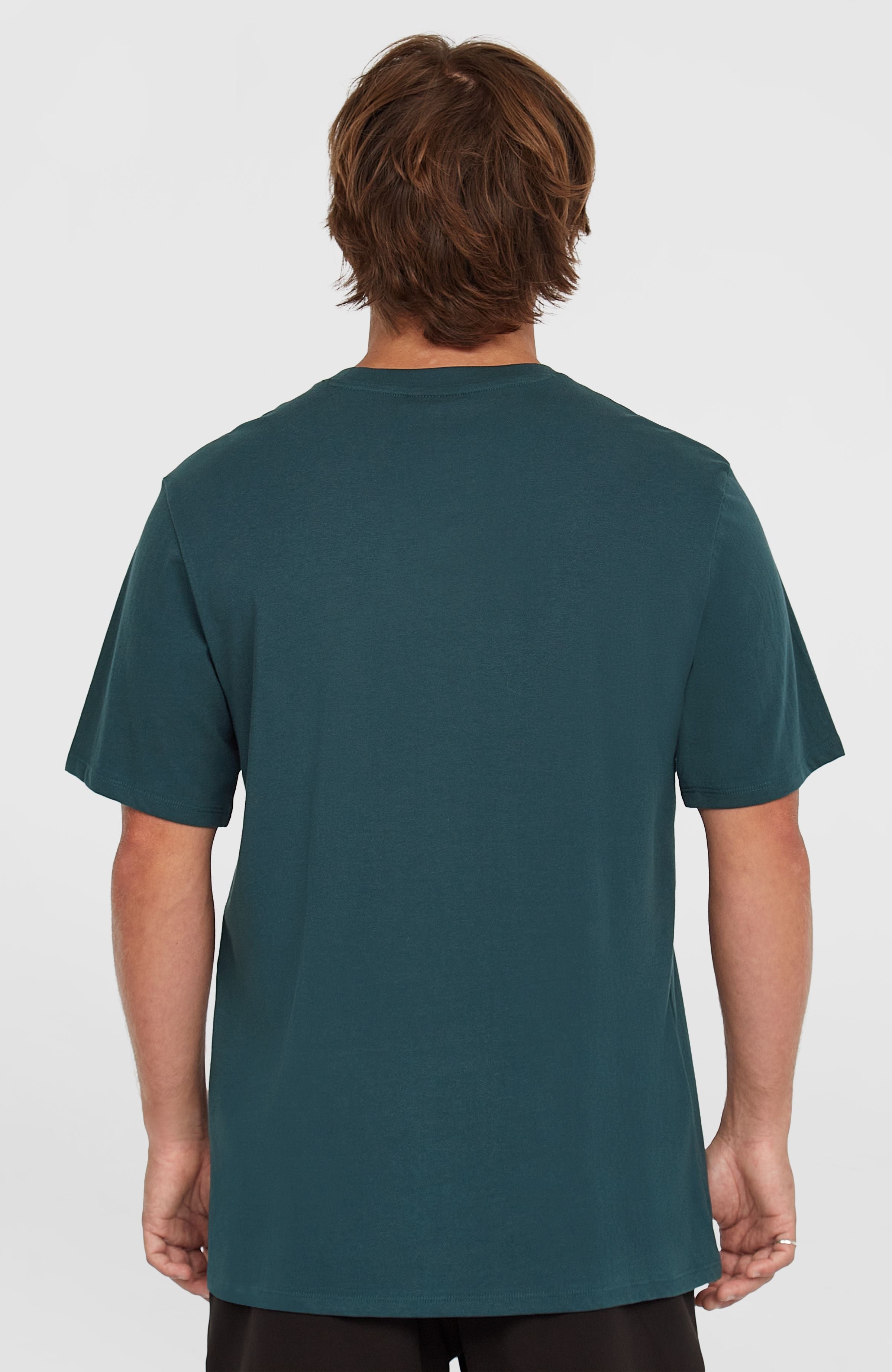 Logo T-Shirt Men - Alma Steel