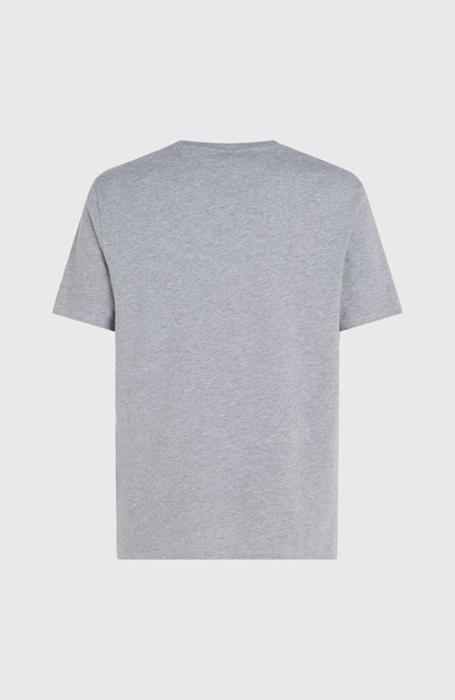 O'Neill Logo T-Shirt Men - Silver Melee -A