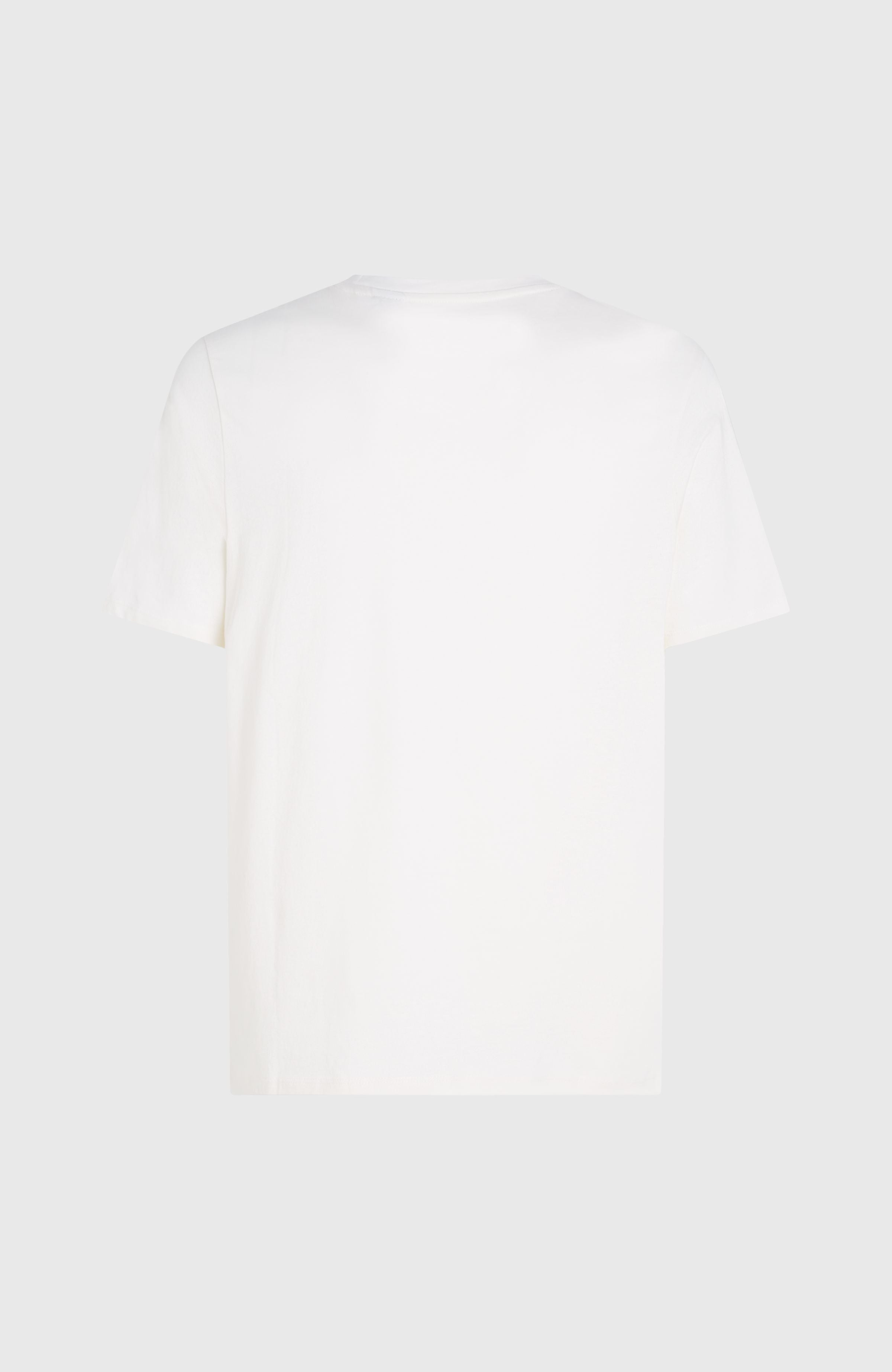 O'Neill Logo T-Shirt Men - Snow White