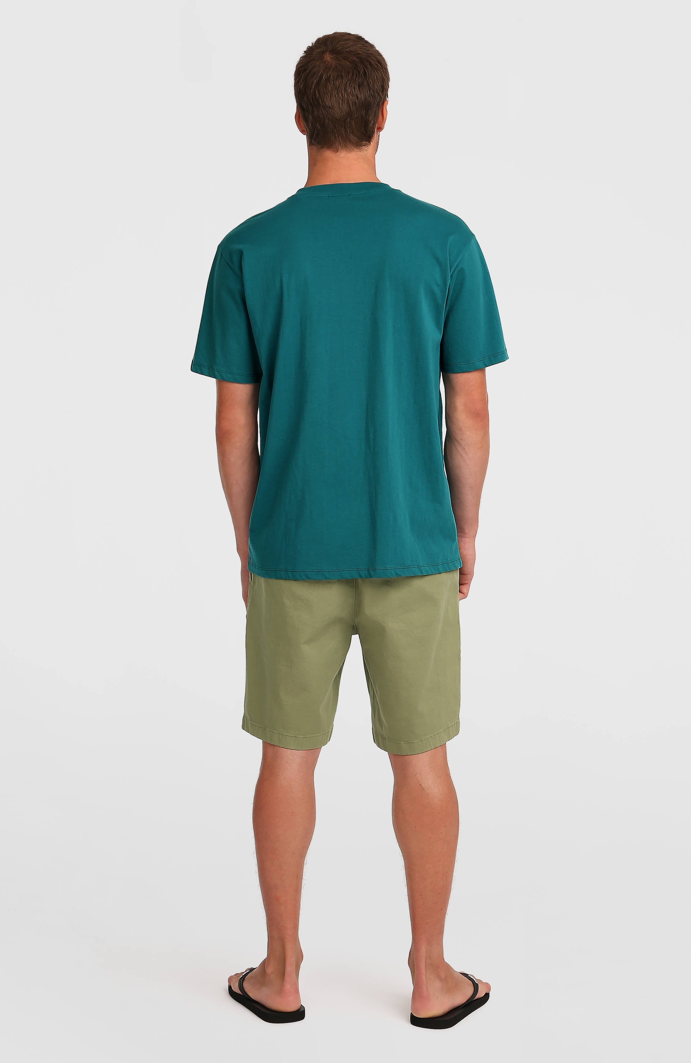 Essentials Chino Shorts Men - Avery Fern