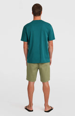 Essentials Chino Shorts Men - Avery Fern