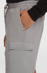 O’Neill Essentials Ripstop Cargo Shorts Men - Brushed Aluminium
