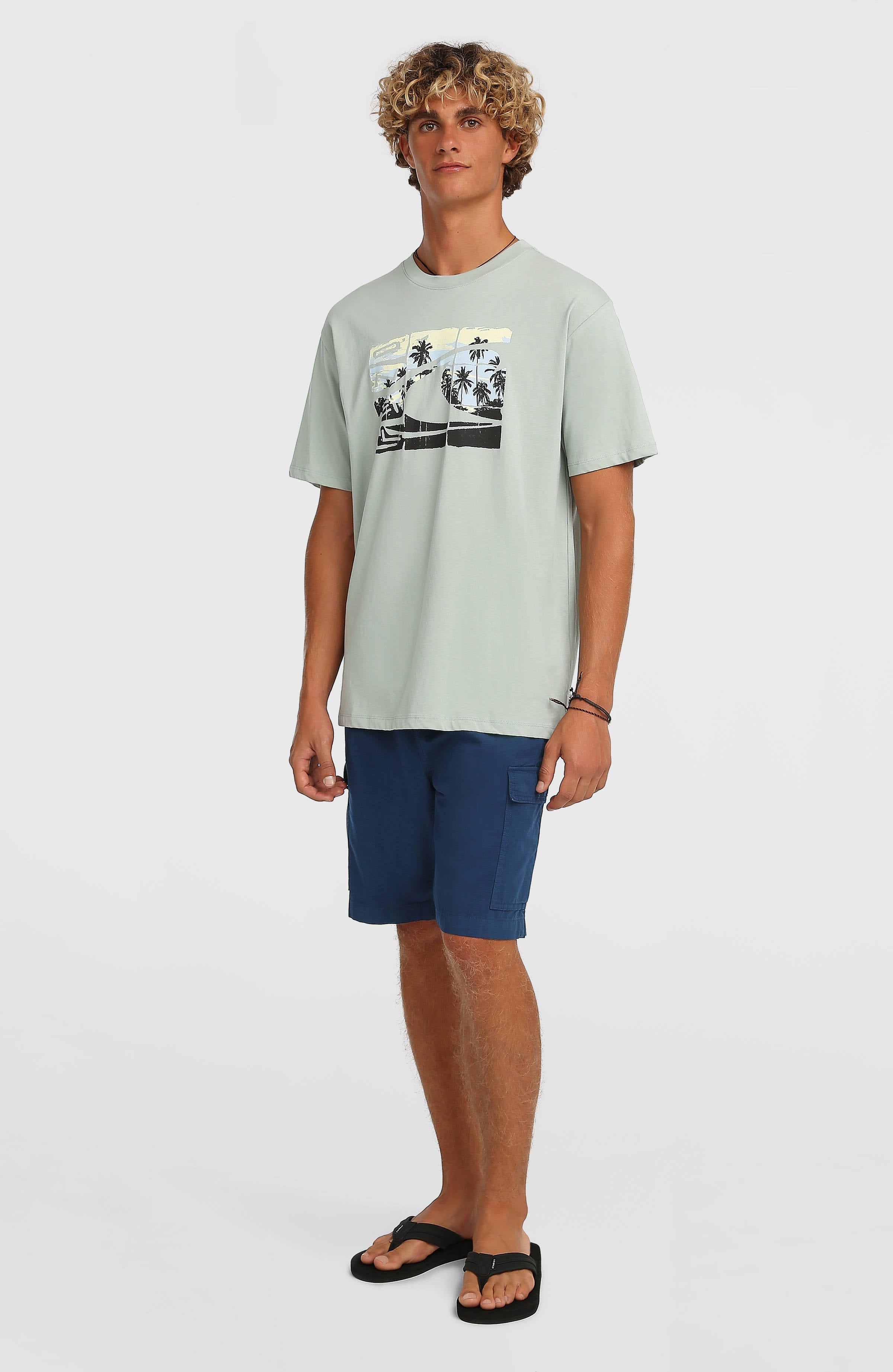 O’Neill Essentials Ripstop Cargo Shorts Men - English Evening