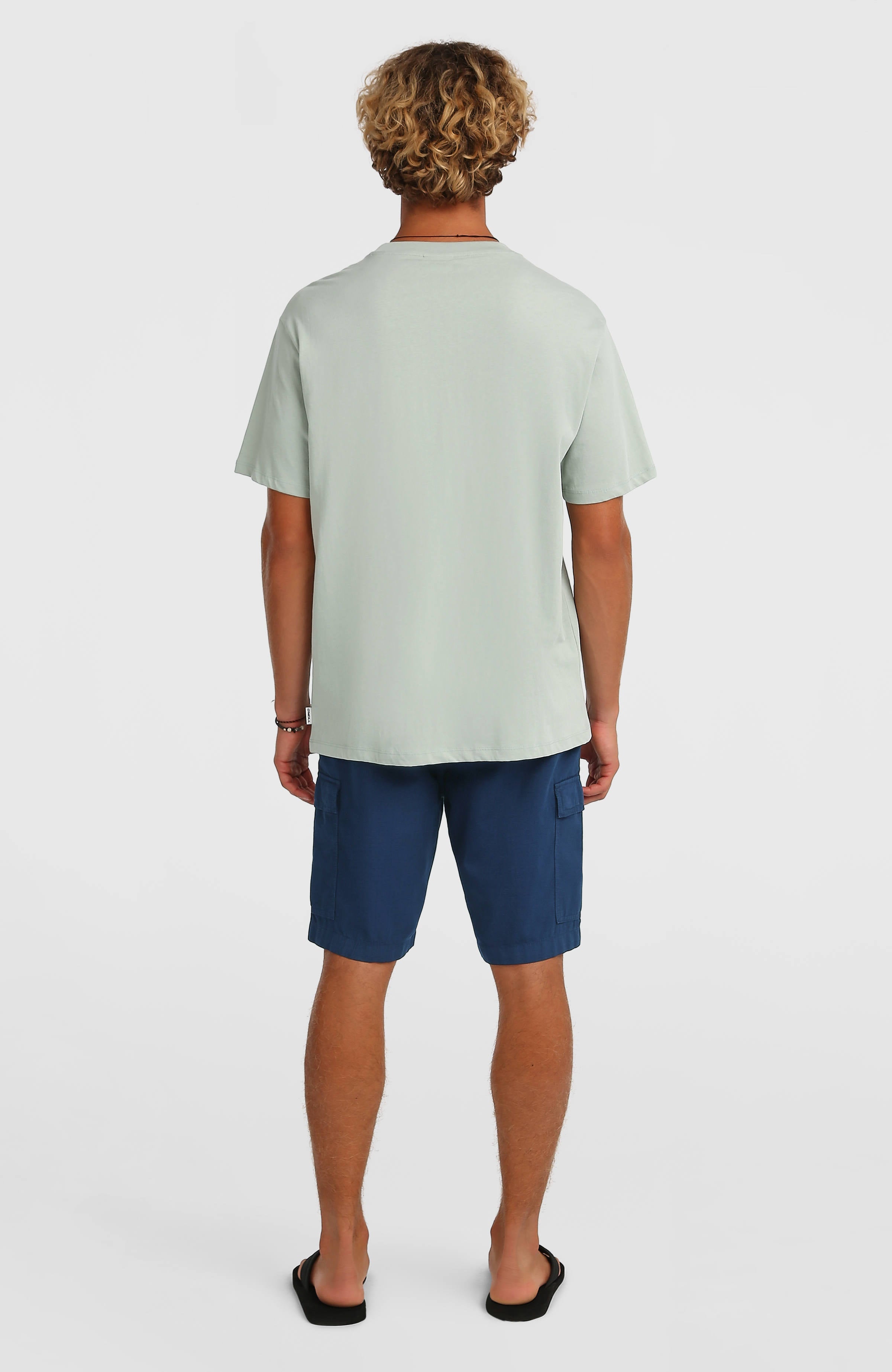 O’Neill Essentials Ripstop Cargo Shorts Men - English Evening