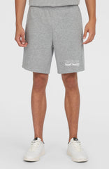 Future Surf Society Shorts Men - Silver Melee
