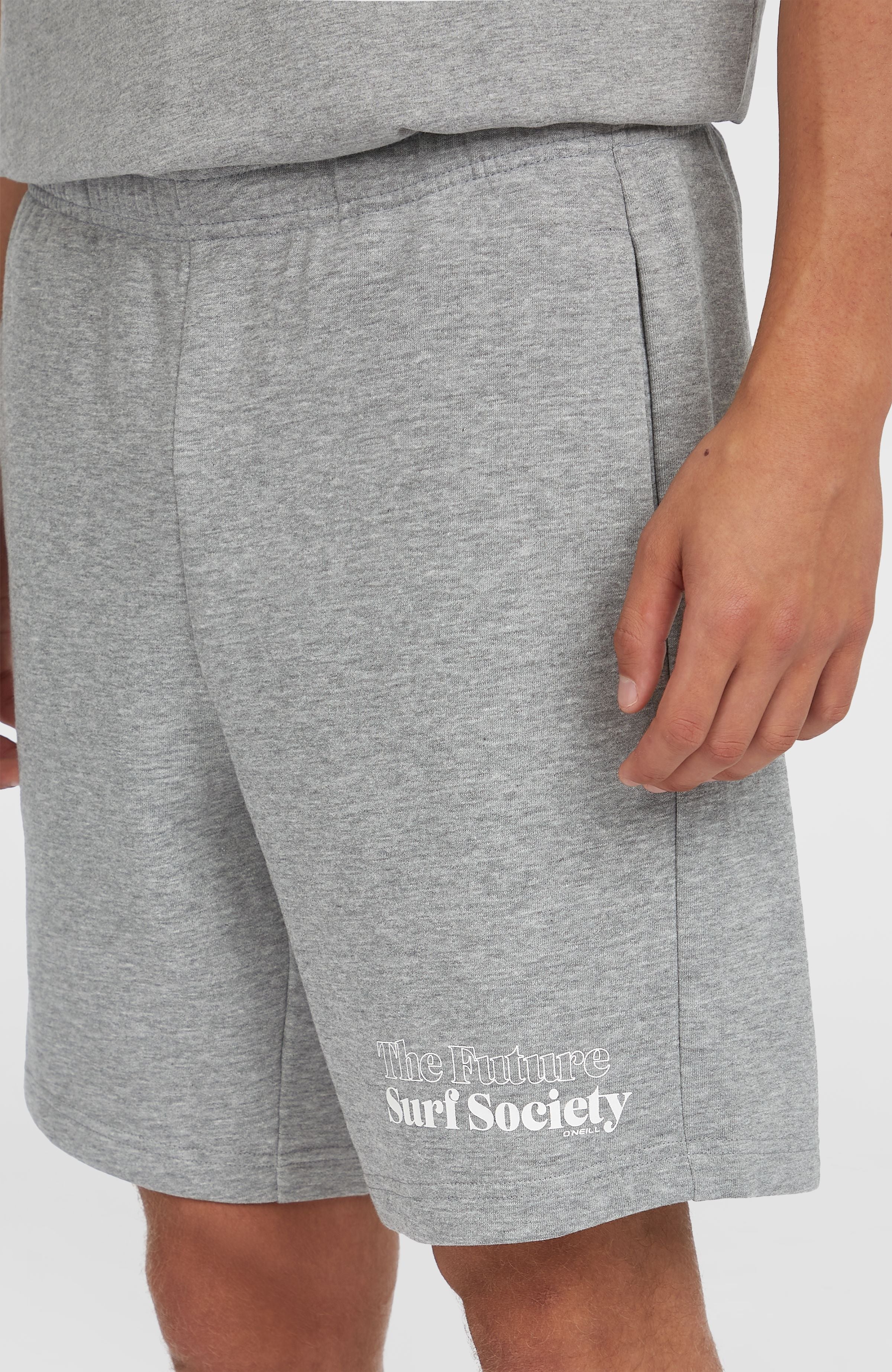Future Surf Society Shorts Men - Silver Melee