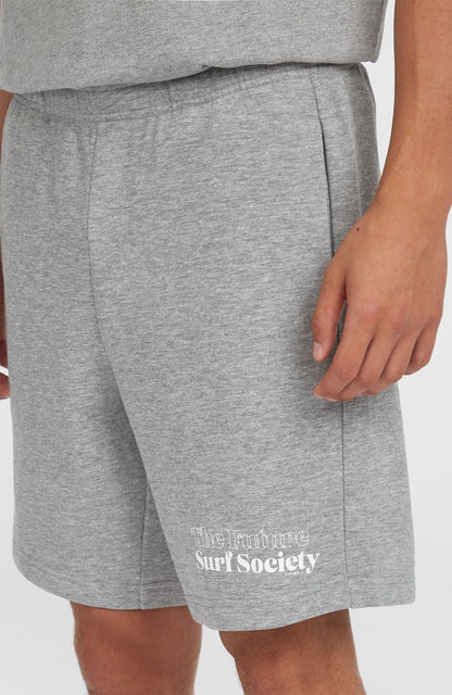 Future Surf Society Shorts Men - Silver Melee