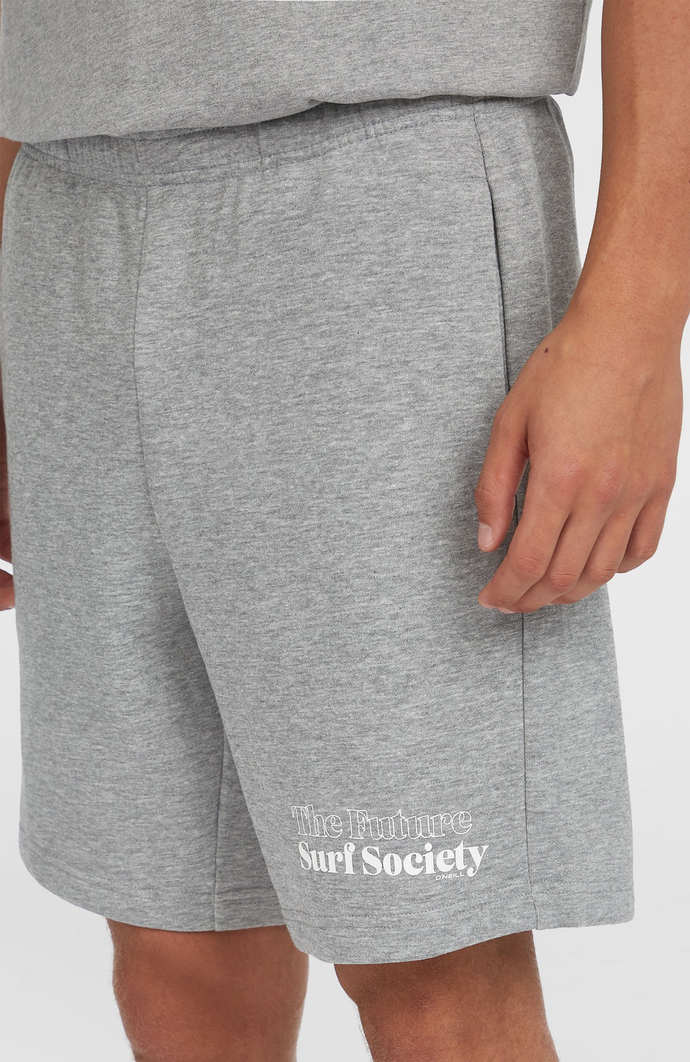 Future Surf Society Shorts Men - Silver Melee