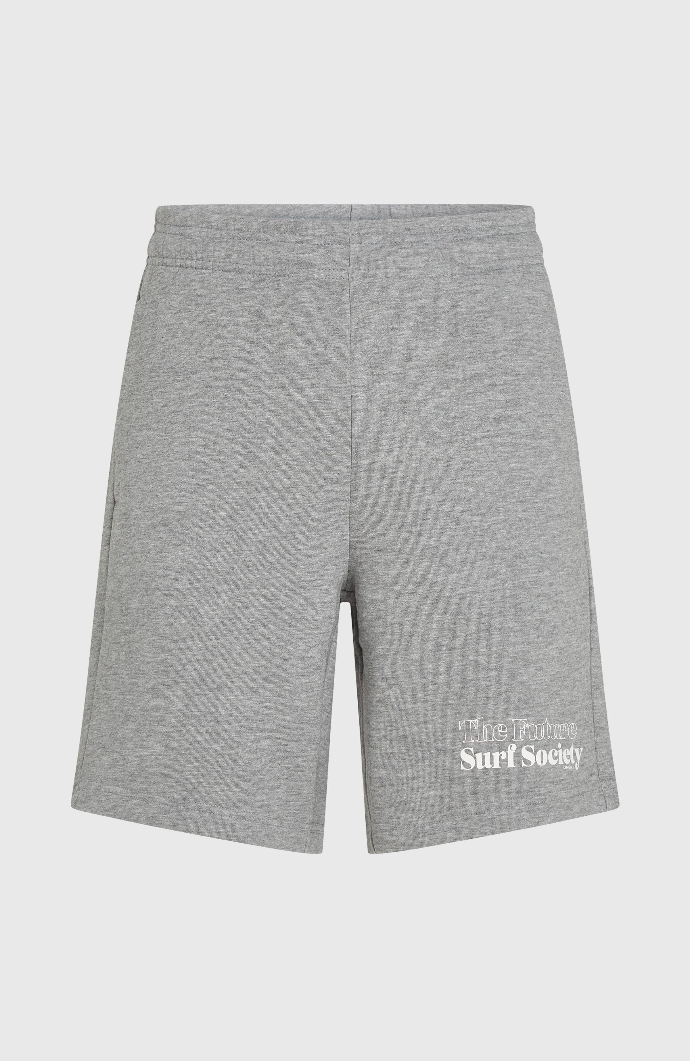 Future Surf Society Shorts Men - Silver Melee