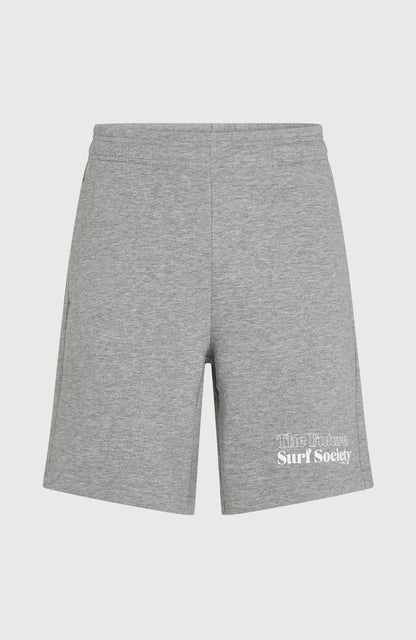 Future Surf Society Shorts Men - Silver Melee