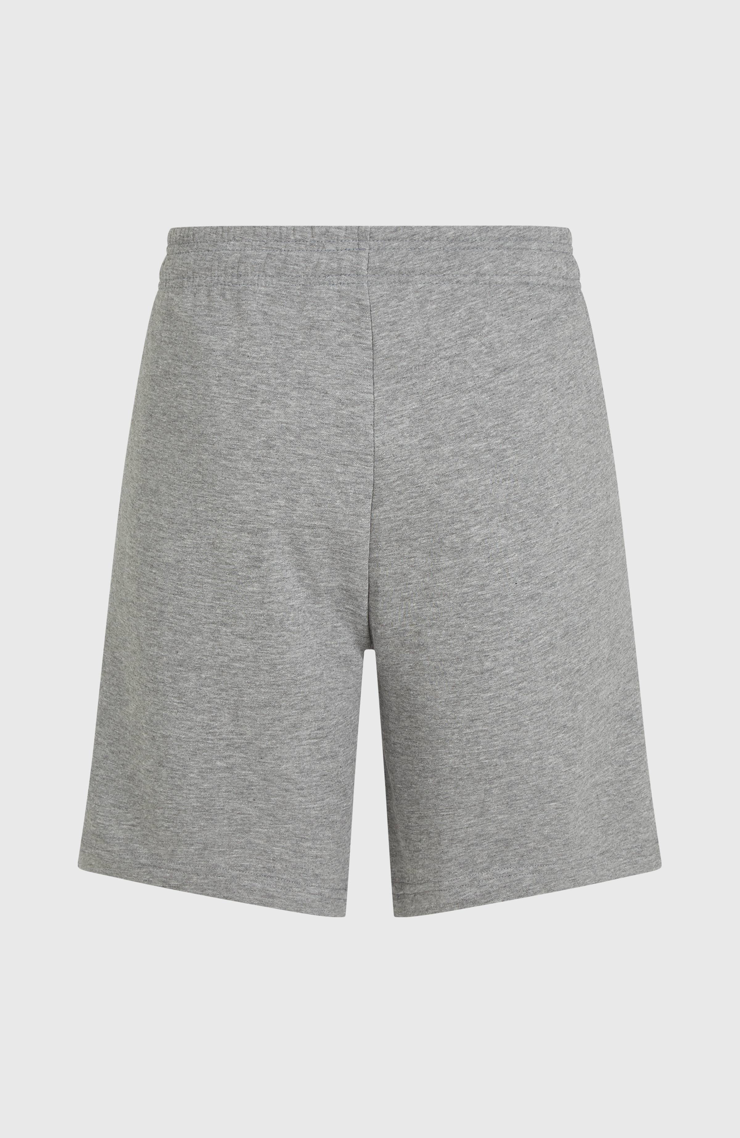 Future Surf Society Shorts Men - Silver Melee