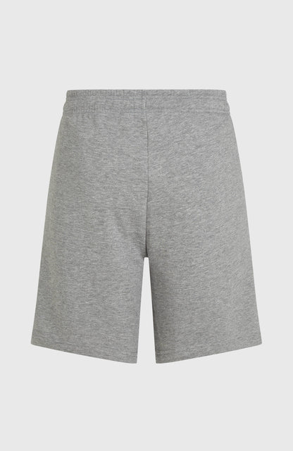 Future Surf Society Shorts Men - Silver Melee