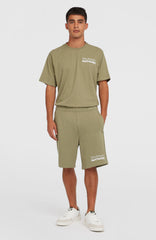 Future Surf Society Shorts Men - Avery Fern