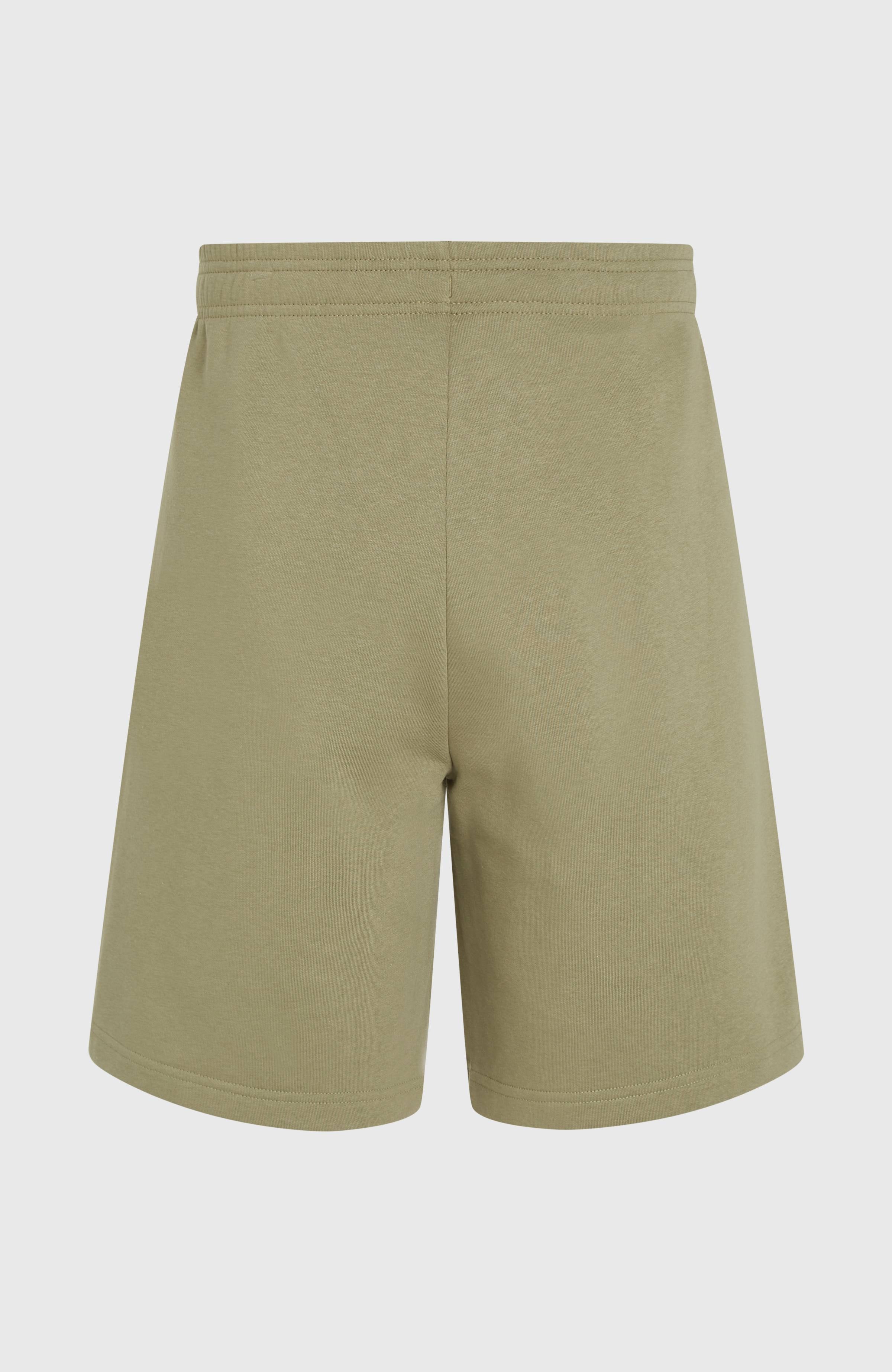 Future Surf Society Shorts Men - Avery Fern