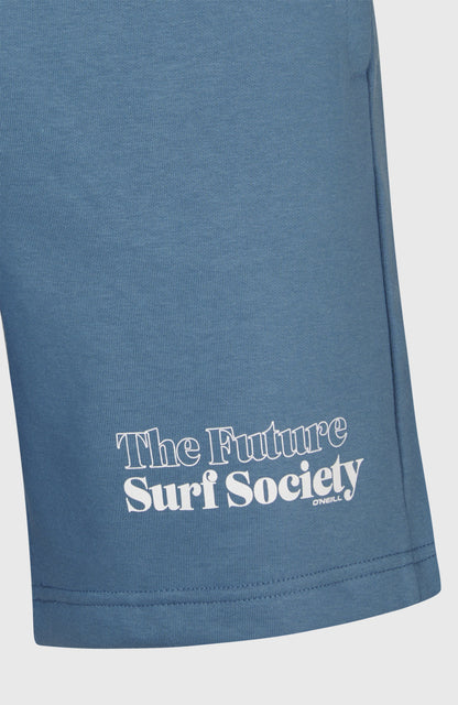Future Surf Society Shorts Men - Copen Blue