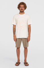Essentials Chino Shorts Men - Pure Cashmere