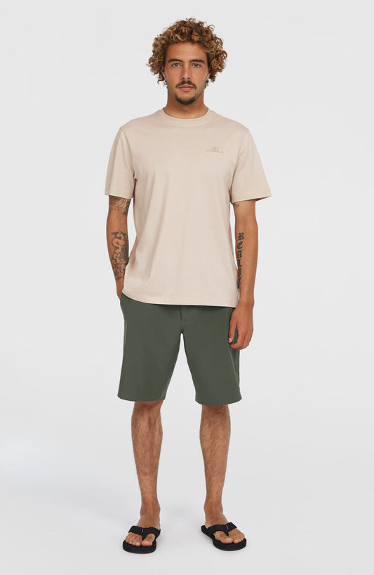 Hybrid Chino 19" Shorts Men - Raven