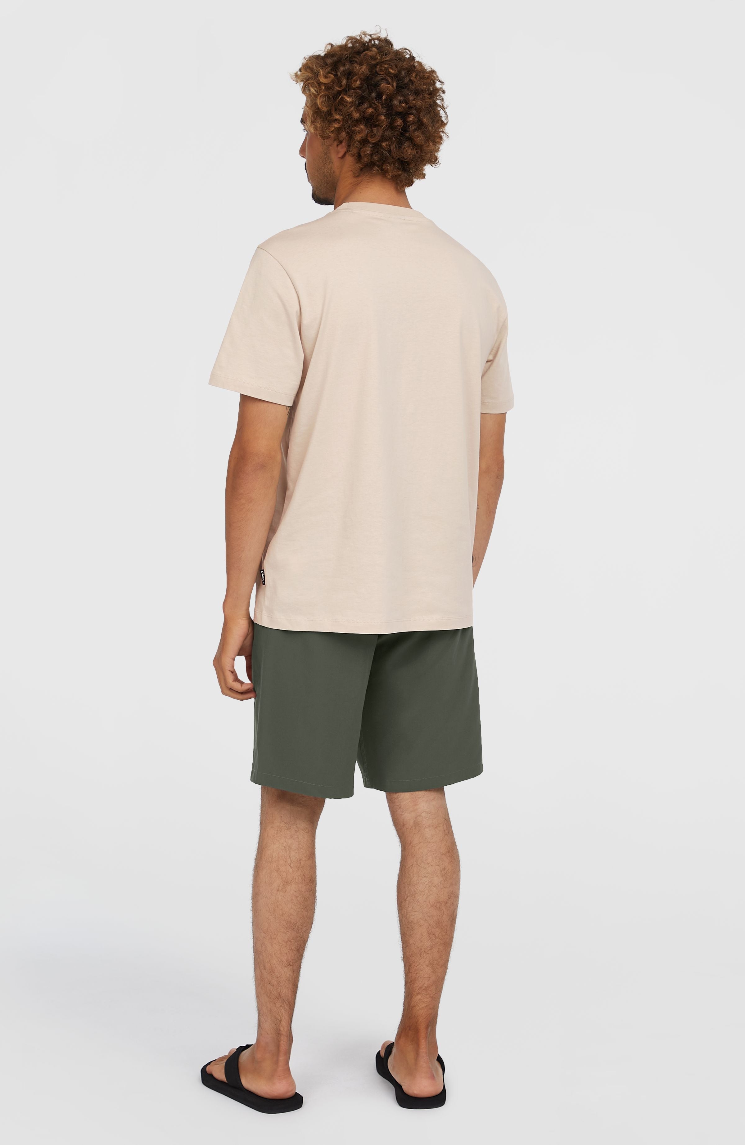 Hybrid Chino 19" Shorts Men - Raven