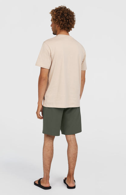 Hybrid Chino 19" Shorts Men - Raven