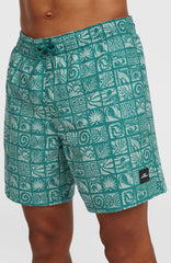 O'Neill Print 16'' Swimshorts Men - Blue Bricks