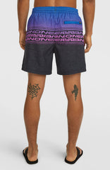 Logo Stripe 16'' Swimshorts Men - Blue Heritage O'Neill Stripe