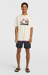 Logo Stripe 16'' Swimshorts Men - Blue Heritage O'Neill Stripe