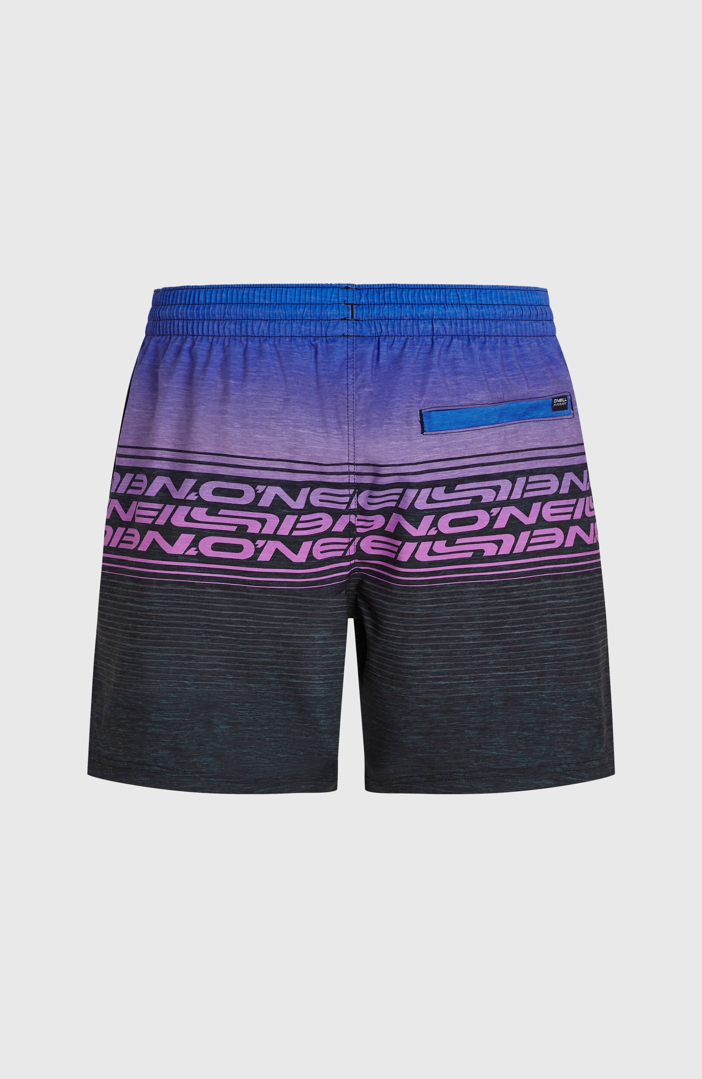 Logo Stripe 16'' Swimshorts Men - Blue Heritage O'Neill Stripe