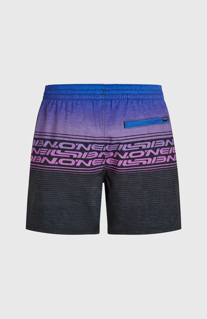 Logo Stripe 16'' Swimshorts Men - Blue Heritage O'Neill Stripe
