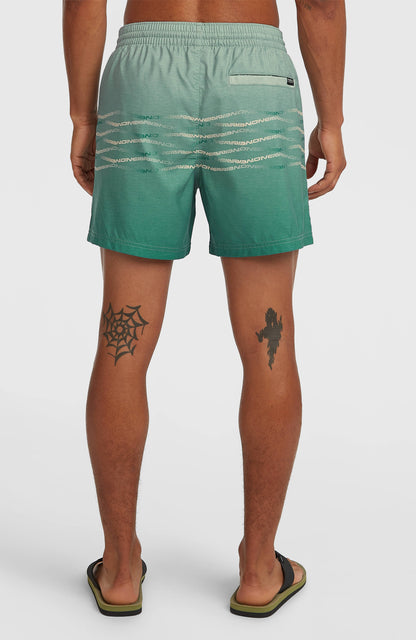 O'Neill First 15'' Swimshorts Men - Green Heritage O'Neill Flip