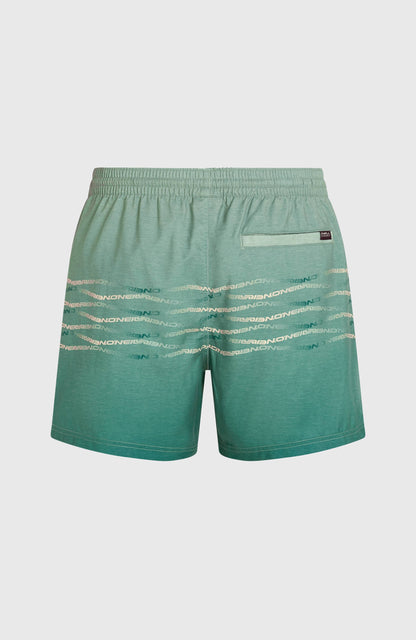 O'Neill First 15'' Swimshorts Men - Green Heritage O'Neill Flip