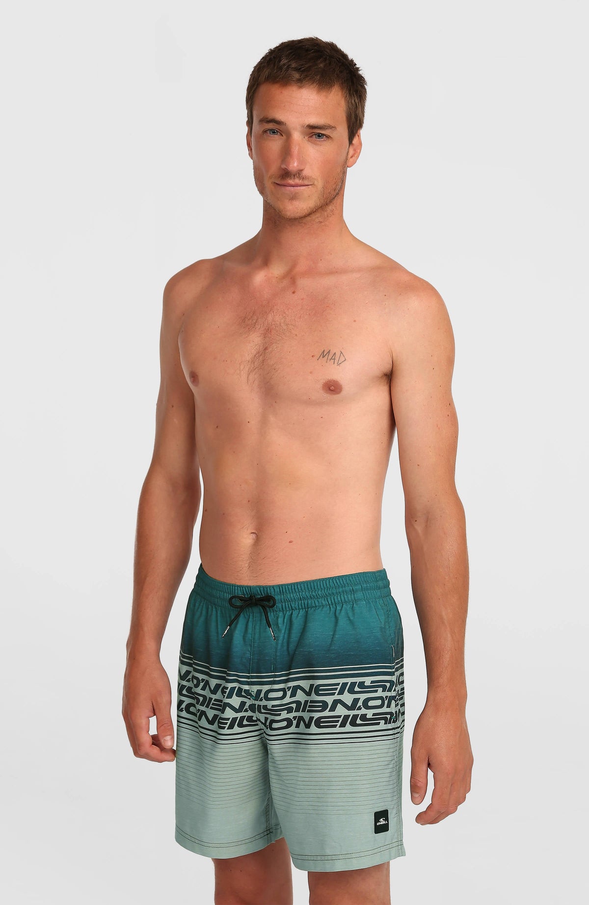 Logo Stripe 16'' Swimshorts Men - Green Heritage Stripe