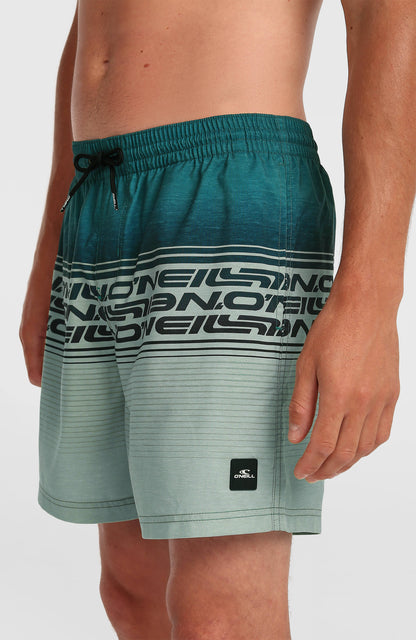 Logo Stripe 16'' Swimshorts Men - Green Heritage Stripe