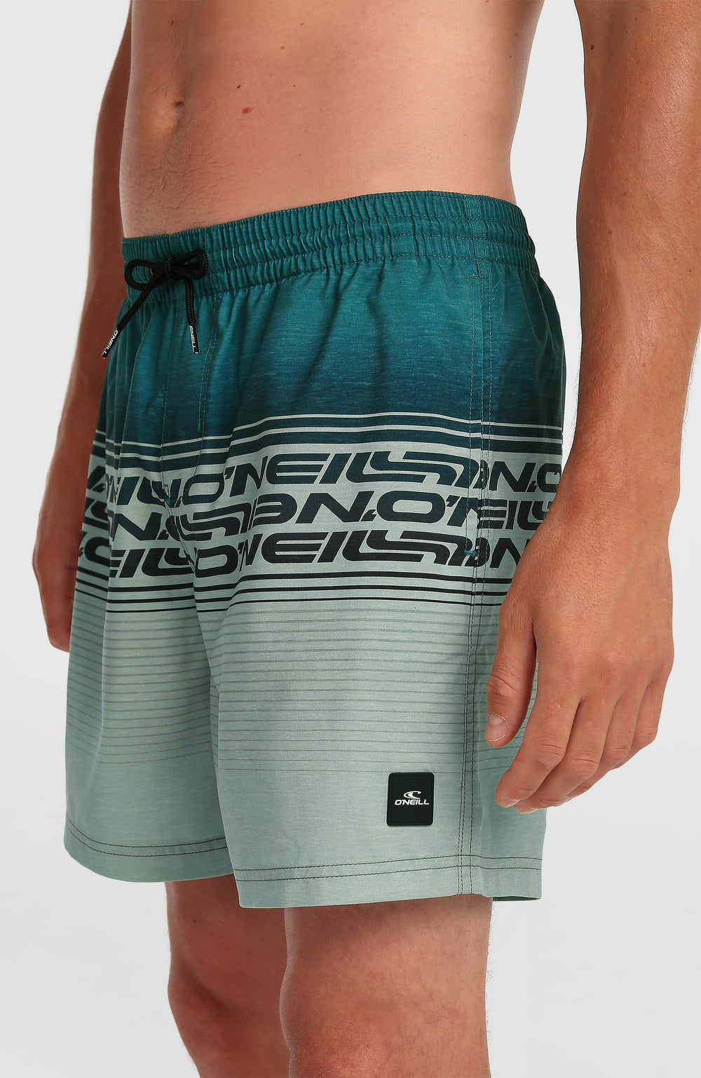 Logo Stripe 16'' Swimshorts Men - Green Heritage Stripe
