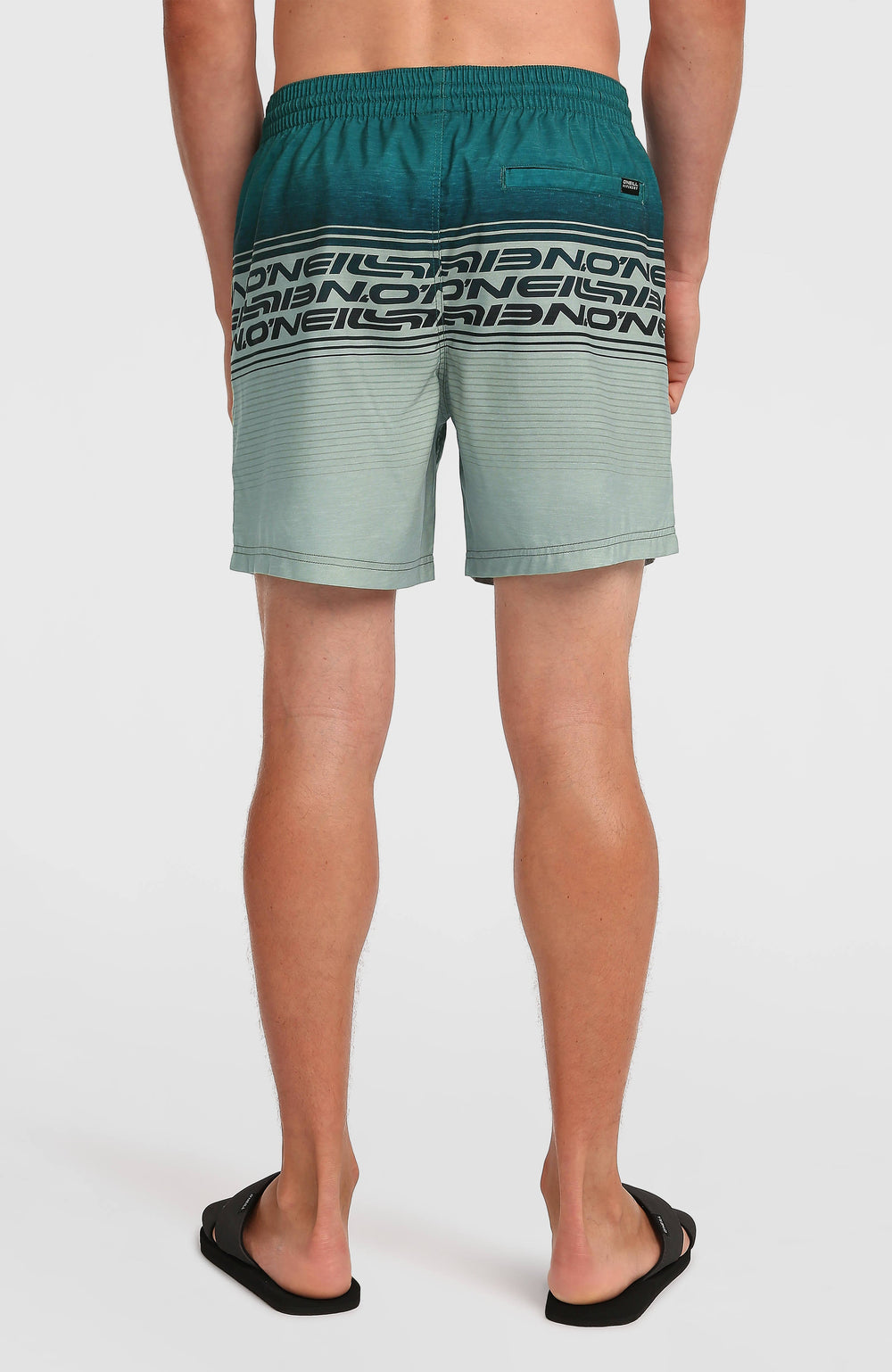 Logo Stripe 16'' Swimshorts Men - Green Heritage Stripe
