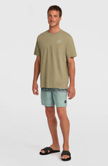 Logo Stripe 16'' Swimshorts Men - Green Heritage Stripe