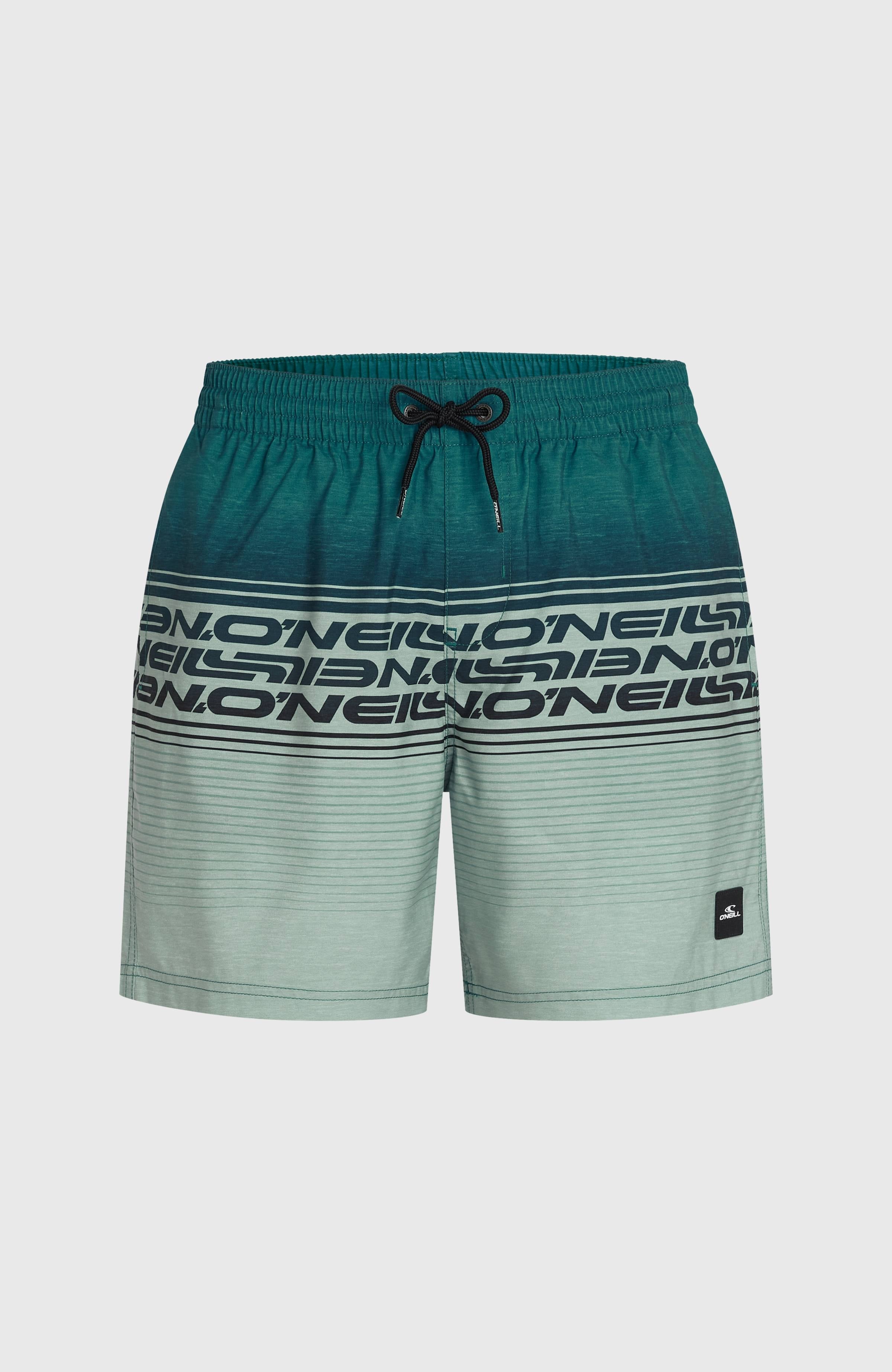 Logo Stripe 16'' Swimshorts Men - Green Heritage Stripe