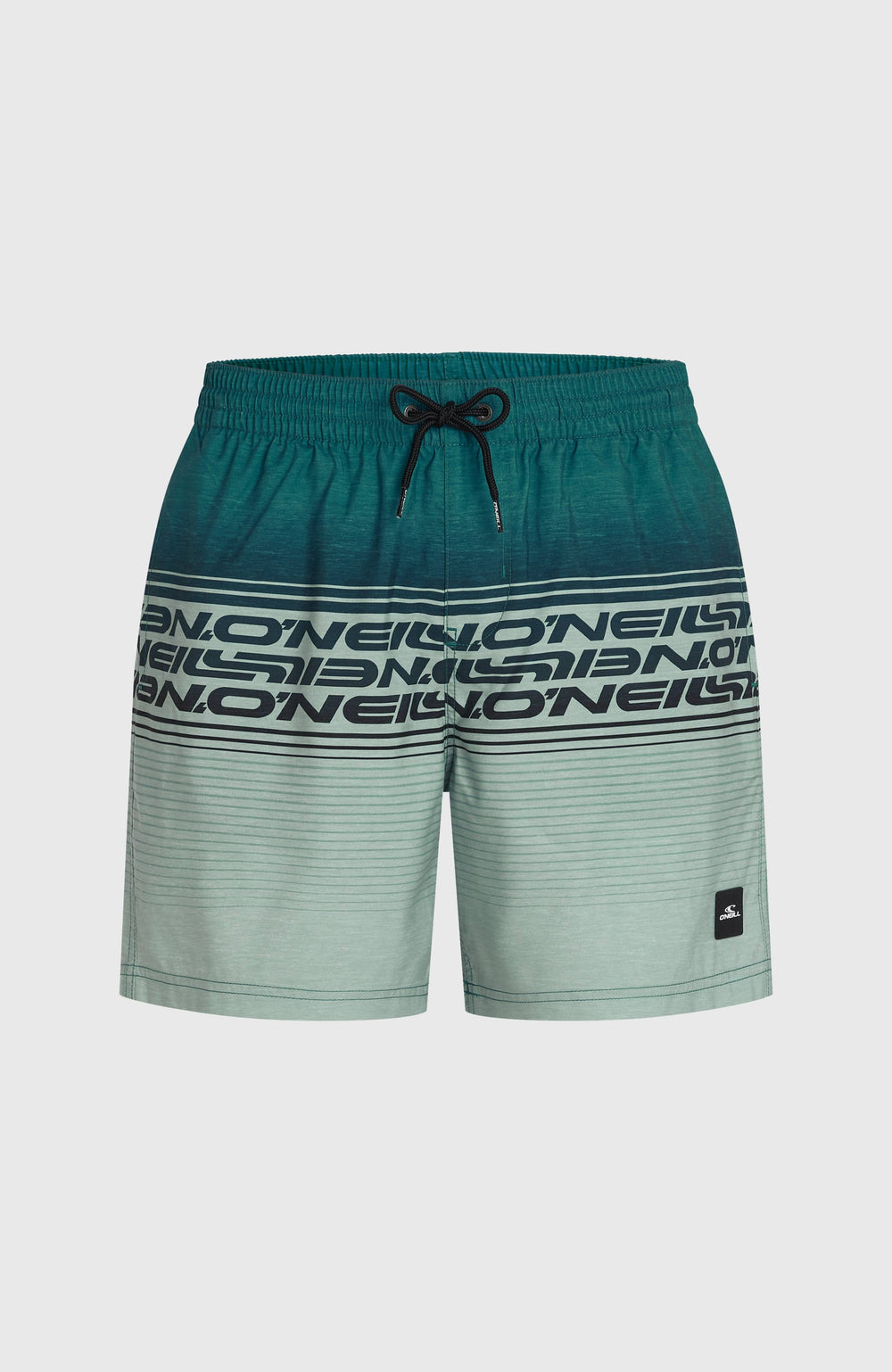 Logo Stripe 16'' Swimshorts Men - Green Heritage Stripe
