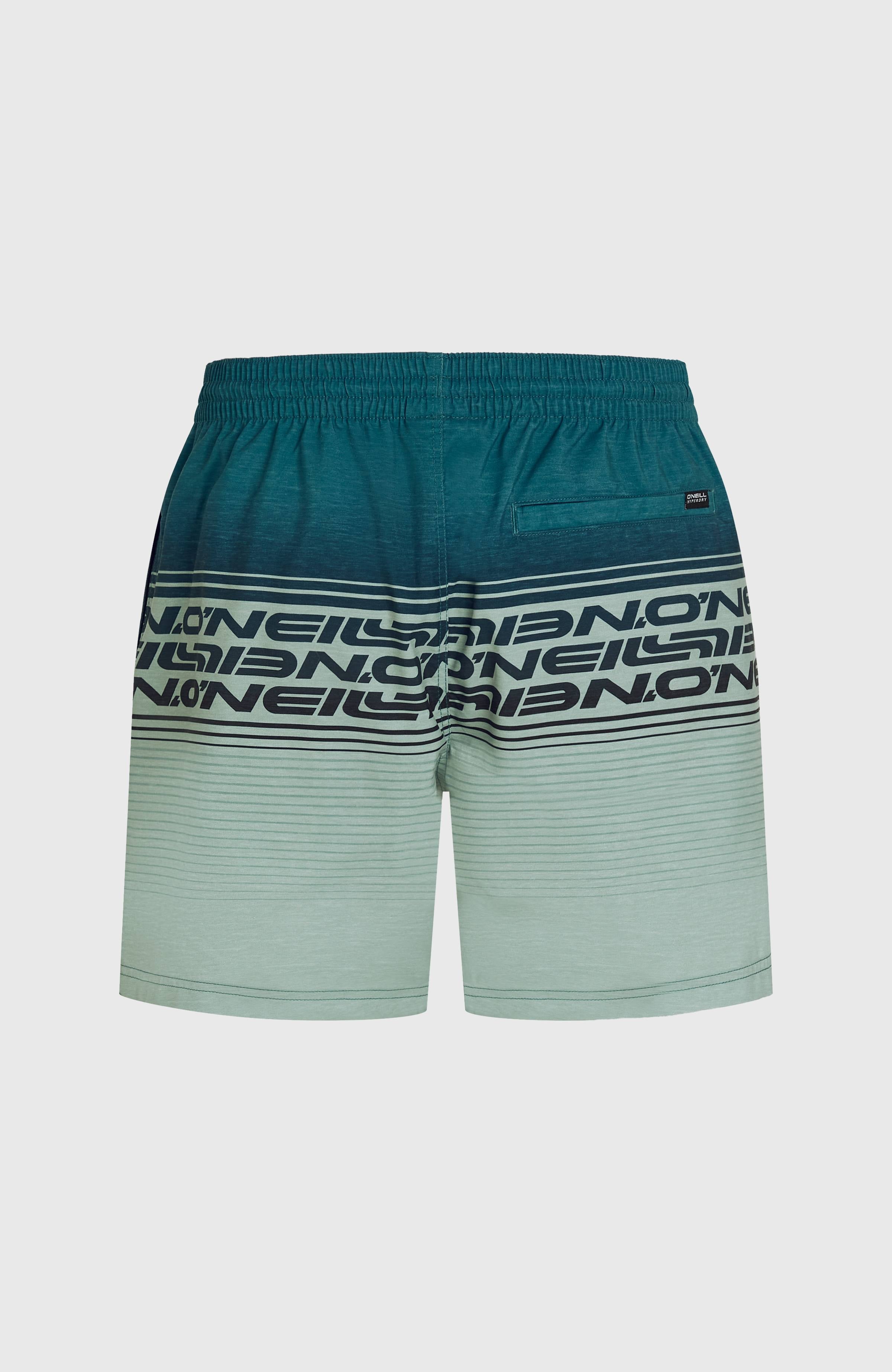 Logo Stripe 16'' Swimshorts Men - Green Heritage Stripe