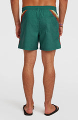 O'Riginals Longboards 15'' Swimshorts Men - Green Originals Sideburns