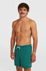 O'Neill Vert 16'' Swimshorts Men - Botanical Heat