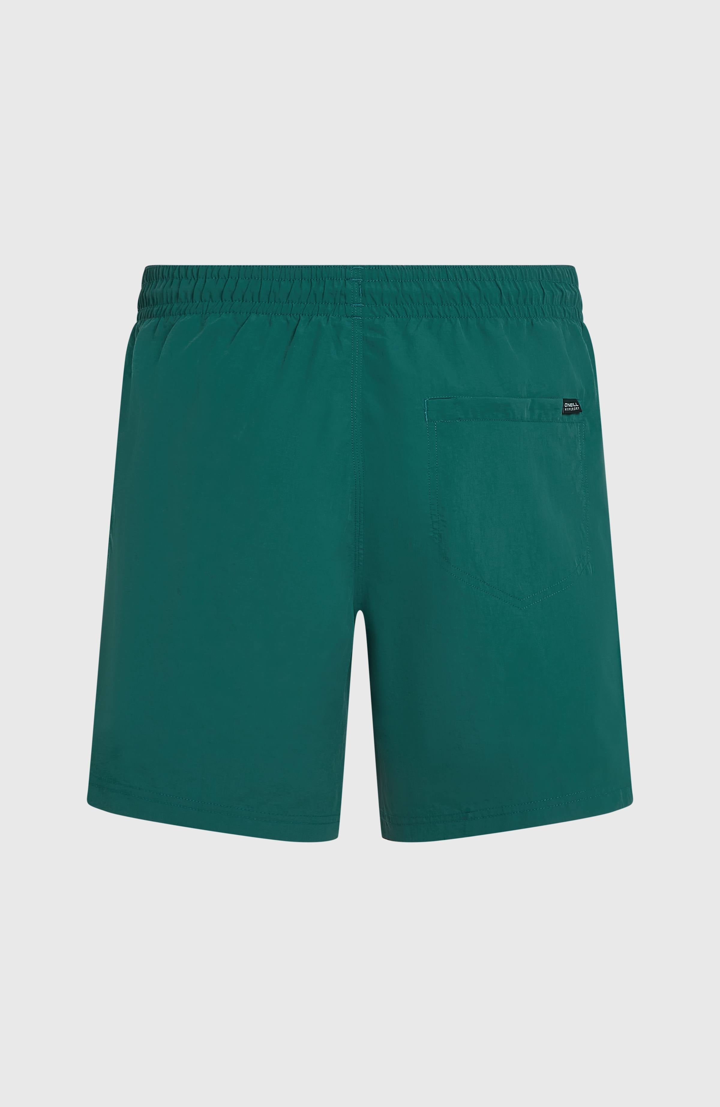 O'Neill Vert 16'' Swimshorts Men - Botanical Heat