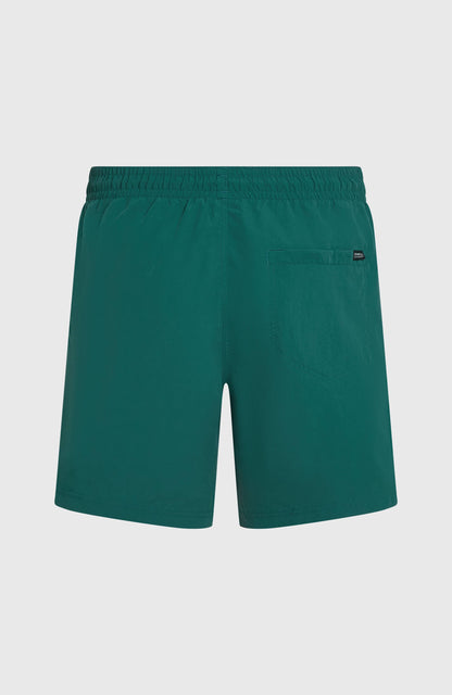O'Neill Vert 16'' Swimshorts Men - Botanical Heat