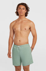 O'Neill Vert 16'' Swimshorts Men - Marble Arch