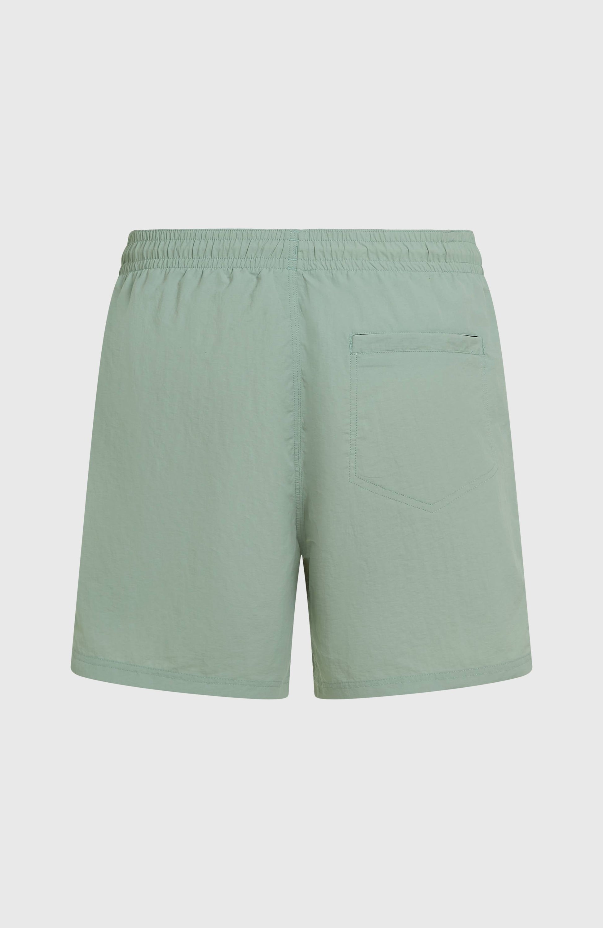 O'Neill Vert 16'' Swimshorts Men - Marble Arch