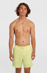 O'Neill Vert 16'' Swimshorts Men - Rainforest Dew