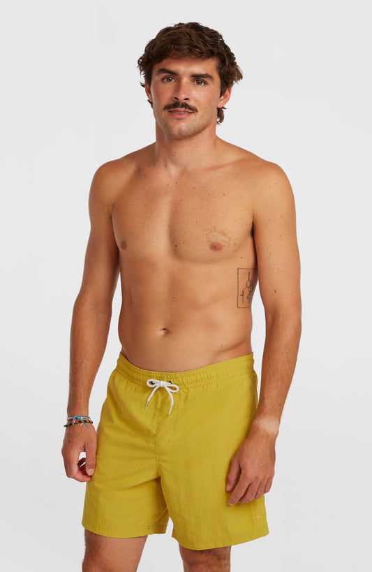 O'Neill Vert 16'' Swimshorts Men - Angel Fern