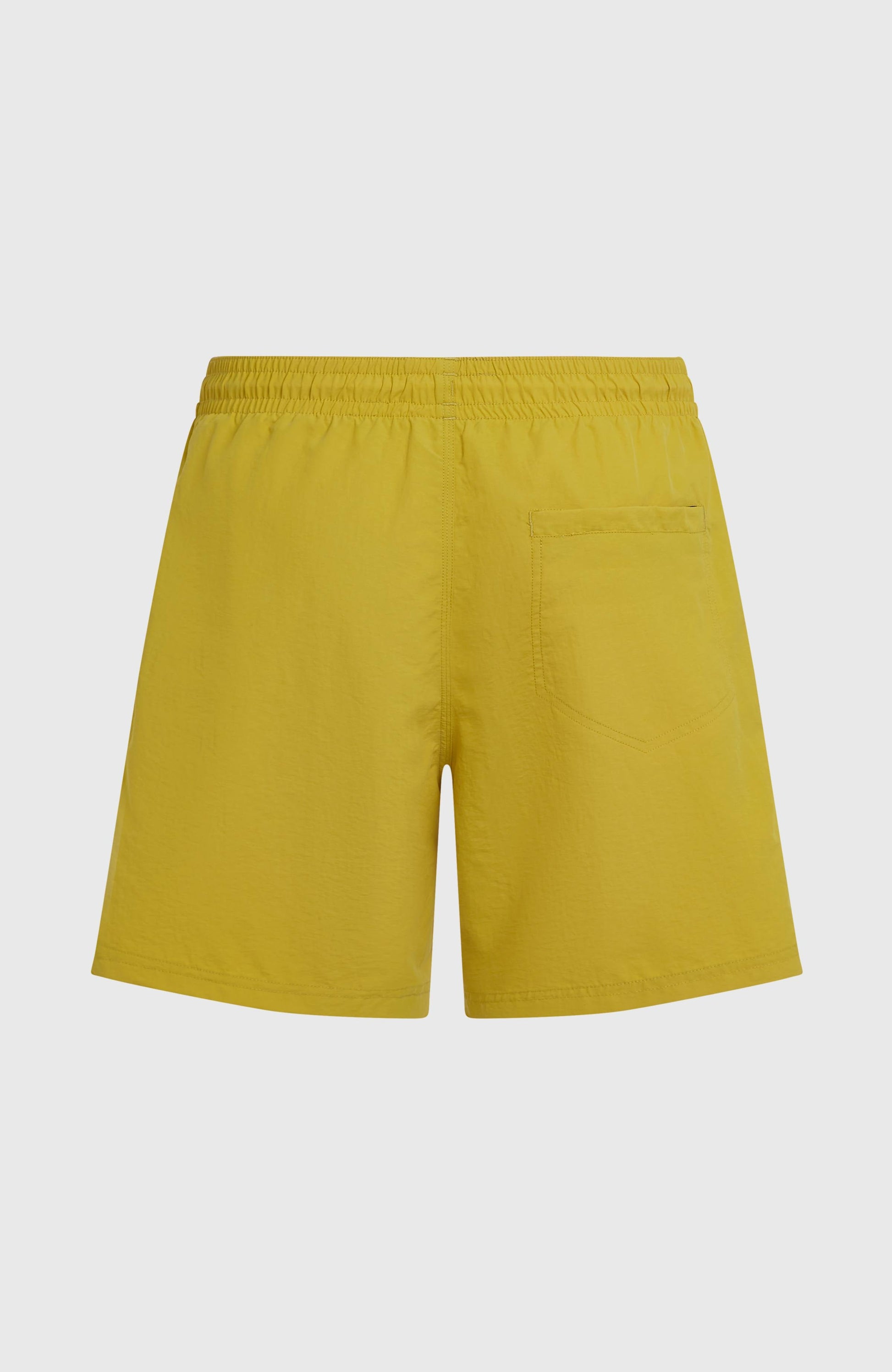 O'Neill Vert 16'' Swimshorts Men - Angel Fern