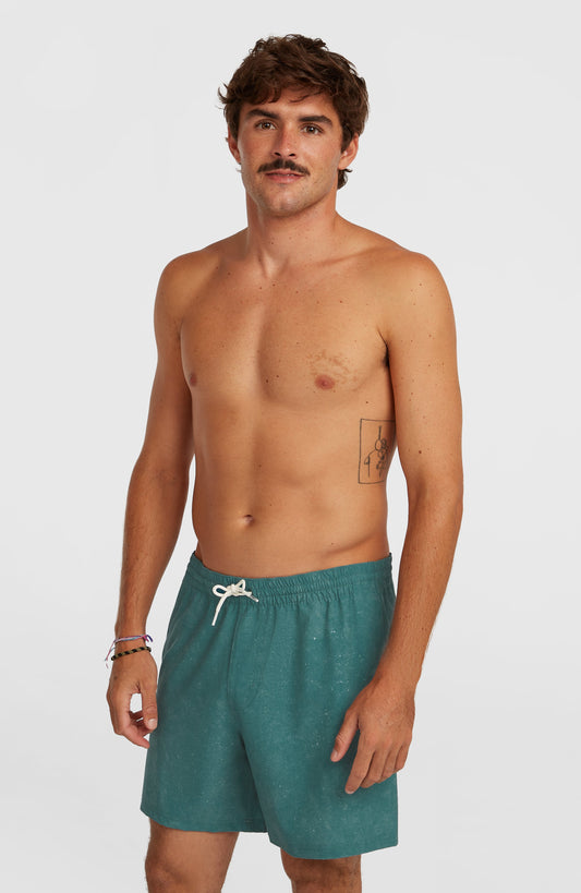 O'Riginals Cali Ocean 16'' Swimshorts Men - Green Originals Acid Wash